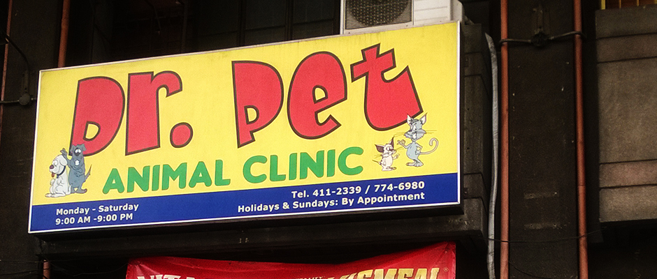 dr pet clinic